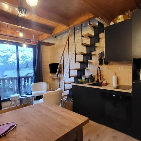 B21 Balcon De Venosc - 4 Pers Apartmán Les Deux Alpes